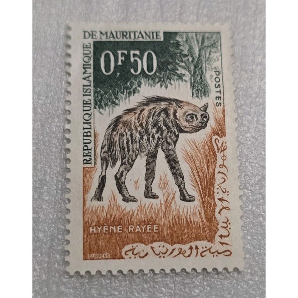 1963 Postage Stamp Islamic Republic Of Mauritania 50ncentimes Striped Hyena